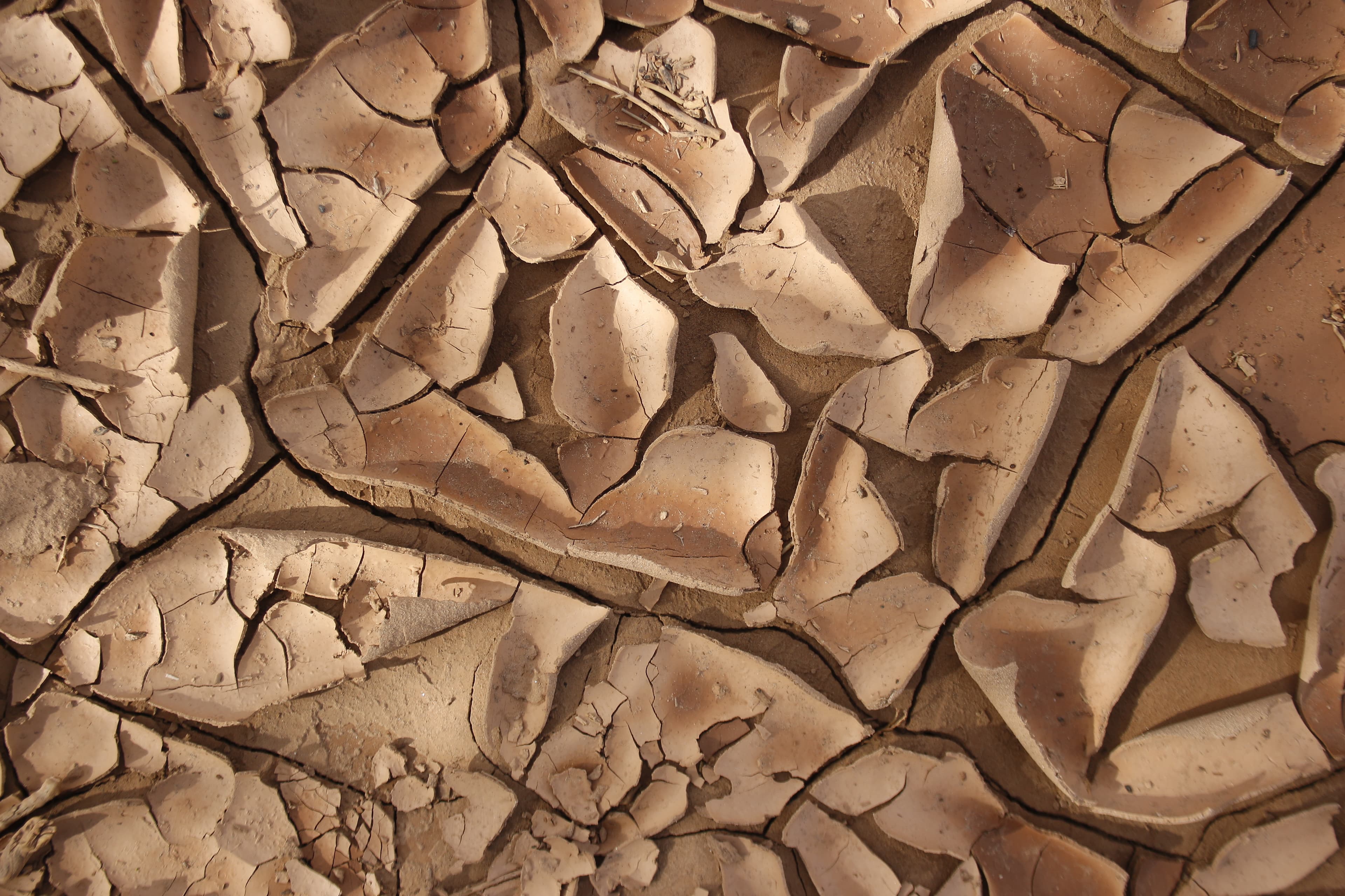 Traces of a Thirsty Land - Featured Image